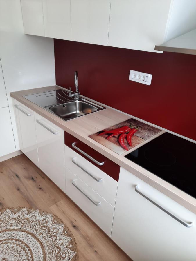 Apartma Rozle モイストラナ エクステリア 写真