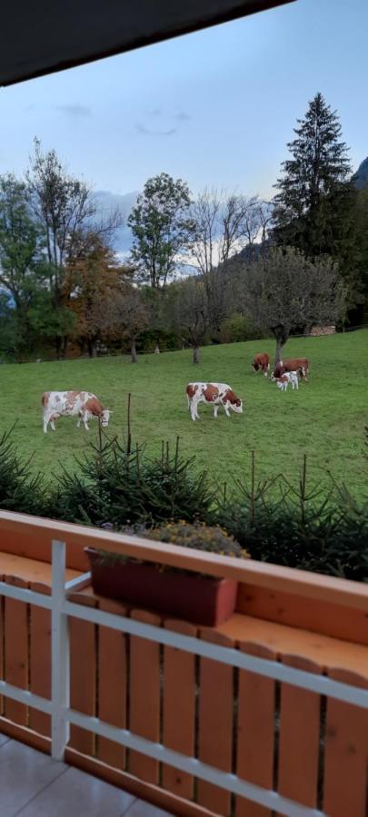 Apartma Rozle モイストラナ エクステリア 写真