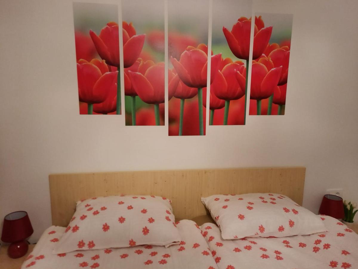 Apartma Rozle モイストラナ エクステリア 写真